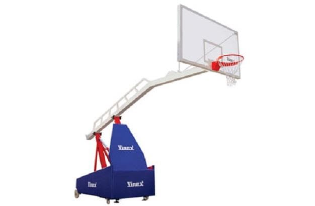 Basket Ball Stag Pair