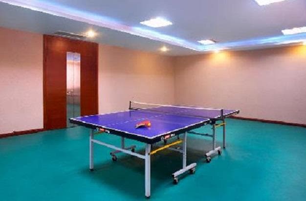 Table Tennis Table
